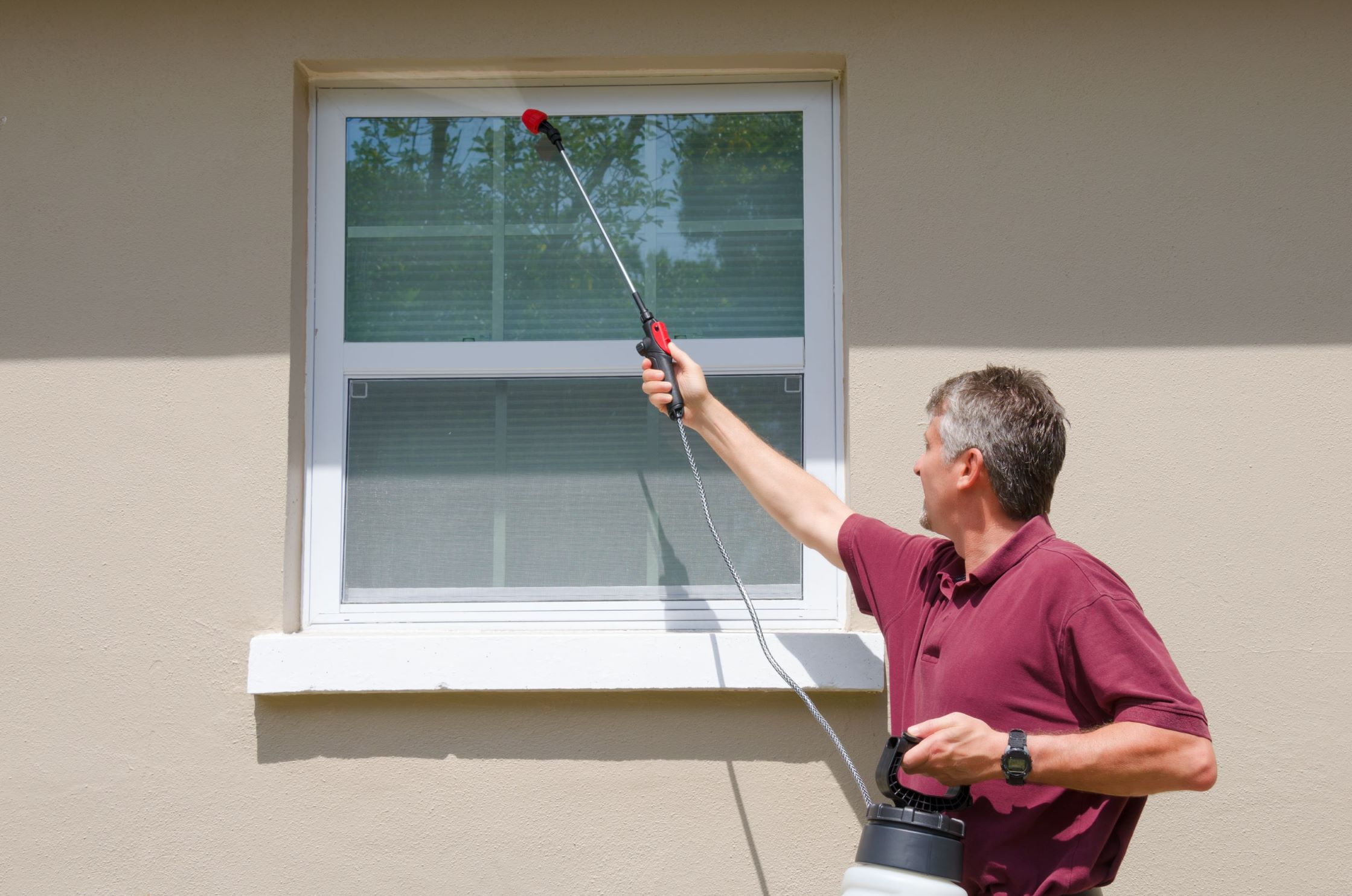 Craigieburn Pest Control